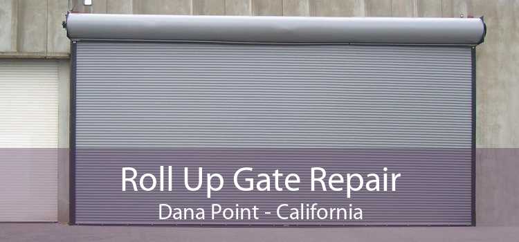 Roll Up Gate Repair Dana Point - California